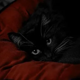 /blinked | Social・VC • SFW • Gwys・Gaming・Chill・Active • Events banner
