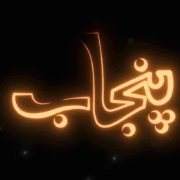 Desi Punjab (Pakistani, Indian) banner