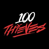 100 Thieves banner