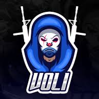 VOLI COMMUNITY banner