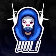 VOLI COMMUNITY banner
