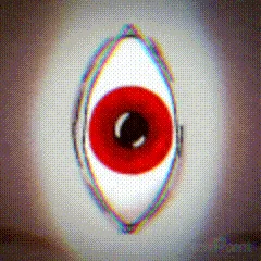 Broogli Bunch banner
