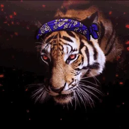 Kaptan Kaplan banner