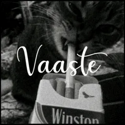 Vaaste 💘 | Hangout • Chill • Indian Discord Server • voice chat • Active • Chill banner