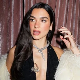 Dua Lipa banner