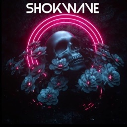 Shokwave Sucks At Discord banner