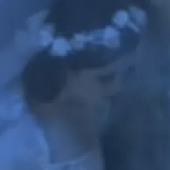 Nιƈσʅҽ Dσʅʅαɳɠαɳɠҽɾ banner