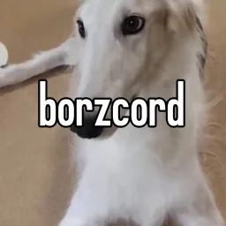 borzcord banner