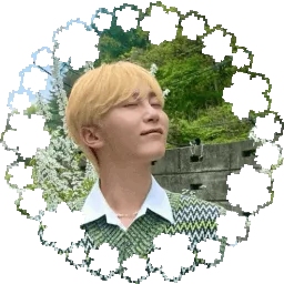 🌸  : carat ! banner