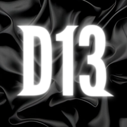 Community D13™ banner