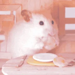 ʚ For Pets Sake ɞ banner