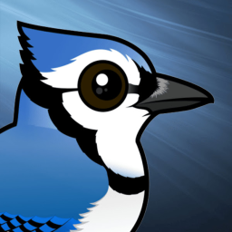 BlueJay's Nest banner