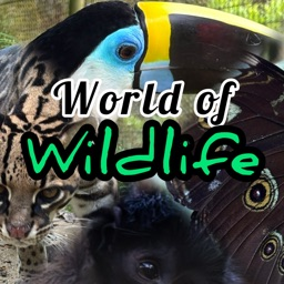 World of Wildlife 🌲 banner