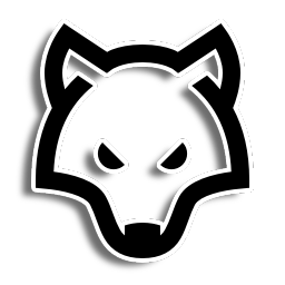 The Wolves Academy banner