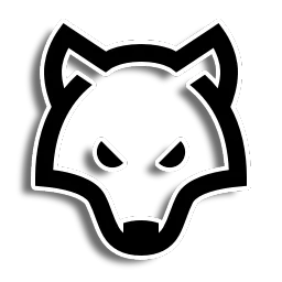 The Wolves Academy banner