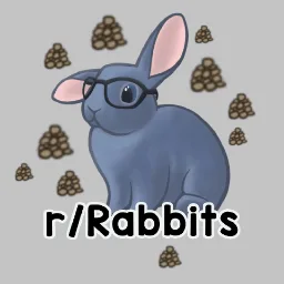 Rabbitors banner