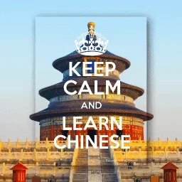 Chinese Plus banner