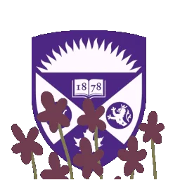University of Western Ontario banner