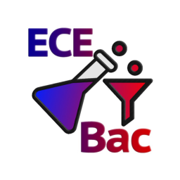 ECEBac.fr (2026) banner