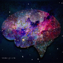 Psychology Nerds banner