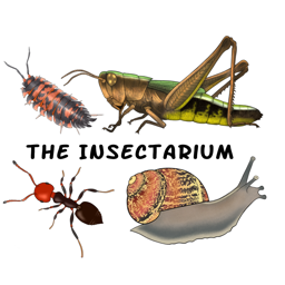 The Insectarium banner