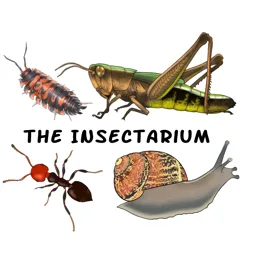 The Insectarium banner