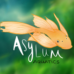 Asylum Aquatics banner