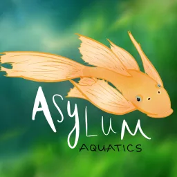 Asylum Aquatics banner