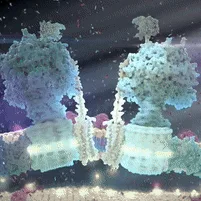 BiochemCord banner