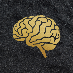 Theoretical Neuroscience banner