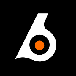 Birdeye banner