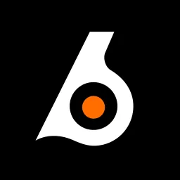 Birdeye banner