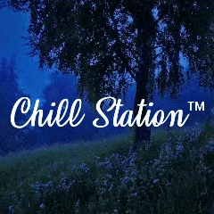 Chill Station banner