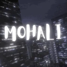 Mohali™ || • Chill Indian Community • Lounge • Vibes banner