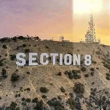 🌴SECTION 8🌴 banner