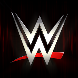 WWE Universe banner