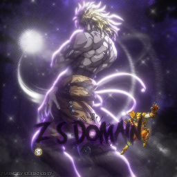 Z Domain banner