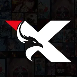 Team X banner
