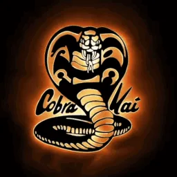 Cobra Kai banner