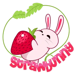 🍓BINGUS NATION🍓