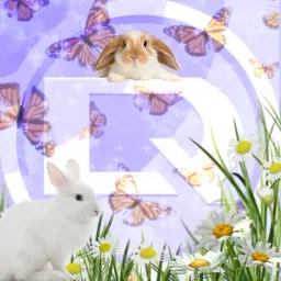 DeletionQuality banner