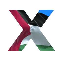 Project X banner