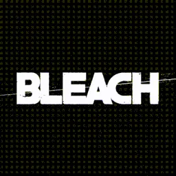 BLEACH banner