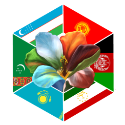 Central Asian Community banner