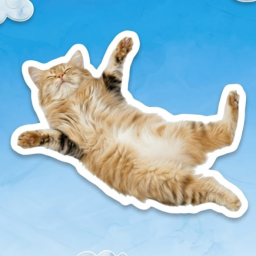 Sky Community banner