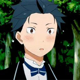 Animes Paradise | Re:Zero banner