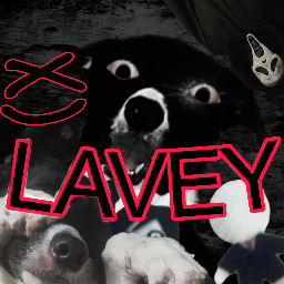 Lavey Socialize | Active VC Server • Hangout • Call • Social • Chill • Anime • Ask to Dm • Emojis banner