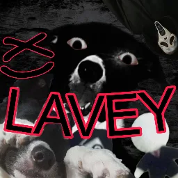 Lavey Socialize | Active VC Server • Hangout • Call • Social • Chill • Anime • Ask to Dm • Emojis banner