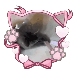 ᡣ𐭩ྀིྀ  ℳeowie ⑅ 𝒮ocial ⑅ 𝒢iveaway's ⑅ 𝒟ecor banner
