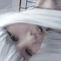 xo banner